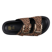 G.C. Shoes-Juno