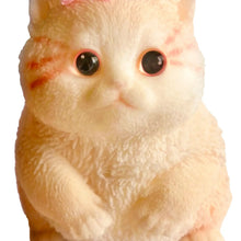 Zorbitz-Mega Cool Kitty