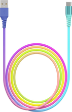 Sanis-10ft Gradient USB to C Charger