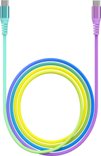 Sanis-10ft Gradient C to C Charger