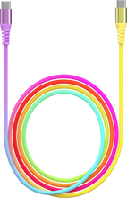 Sanis-10ft Gradient C to C Charger