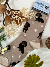 E&S Pets-Dachshund Socks