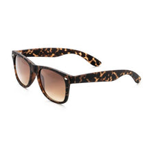 Optimum Optical-Sunglasses Dad Bod