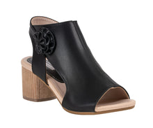 G.C. Shoes-Zakki