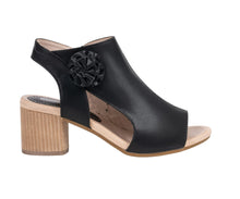 G.C. Shoes-Zakki