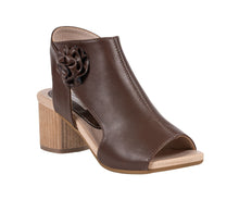 G.C. Shoes-Zakki