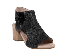 G.C. Shoes-Zakki