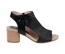 G.C. Shoes-Zakki