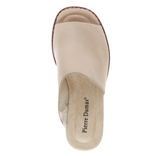 Pierre Dumas-Expand1