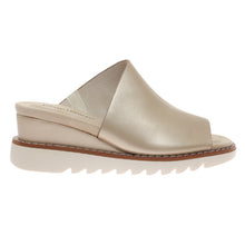 Pierre Dumas-Expand1