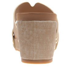 Pierre Dumas-Vivian1