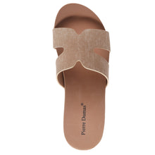 Pierre Dumas-Vivian1