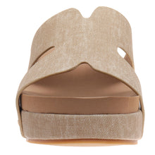 Pierre Dumas-Vivian1