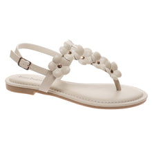 Pierre Dumas-Storm12