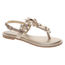 Pierre Dumas-Storm12