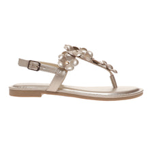 Pierre Dumas-Storm12