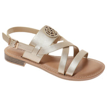 Pierre Dumas-Rosetta24