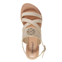 Pierre Dumas-Rosetta24