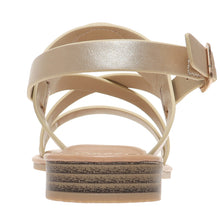 Pierre Dumas-Rosetta24