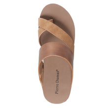 Pierre Dumas-Tricia3