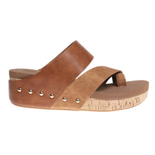 Pierre Dumas-Tricia3