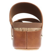 Pierre Dumas-Tricia3