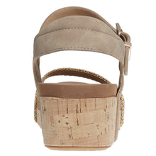 Pierre Dumas-Tricia6