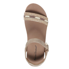 Pierre Dumas-Tricia6