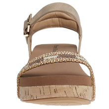 Pierre Dumas-Tricia6