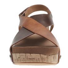 Pierre Dumas-Tricia2