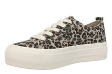 Blowfish-Sadie Sun 10